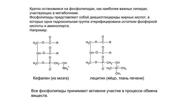 01_01_Лекция 12.2024-06-11-12-23-50 смотреть онлайн