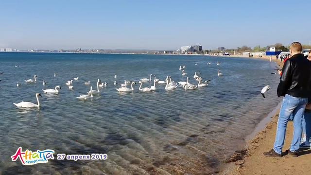 АНАПА. Погода 27.04.2019. Игра туманов. Редкое явление. Градации тепла-холода. Где море? смотреть онлайн