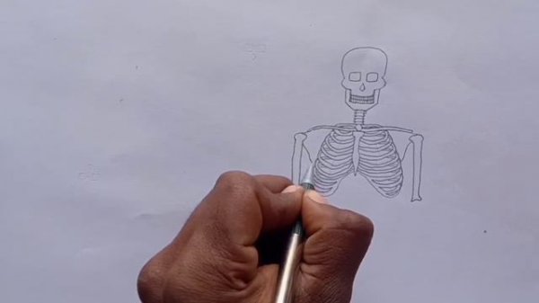 How to draw human skeleton step by step/easily | Easy way to draw skeleton | skeleton drawing easy