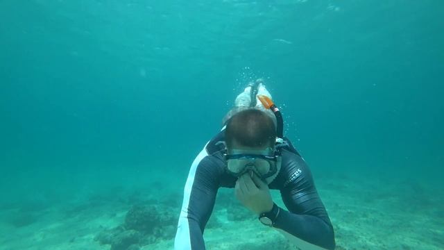 Catalina Island Excursion - Catalina Island Excursions Dominican Republic смотреть онлайн