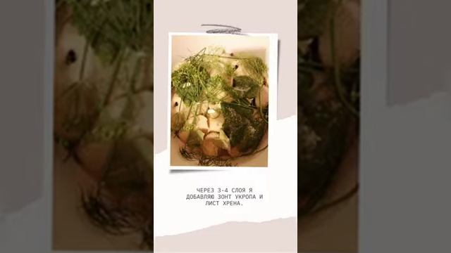 Чистая гармония и идеальный порядок