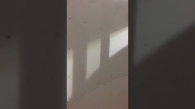 Earl's Hobart 7 смотреть онлайн