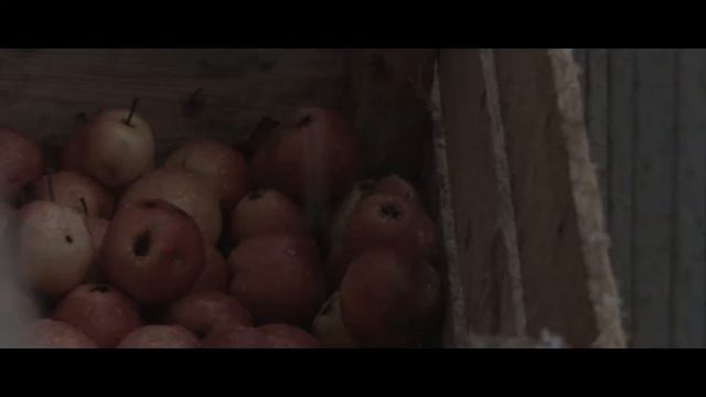 Санкт-Петербург  Осень 28.10.2018