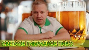 Как сварить Крим Эль? Светлое гибридное пиво