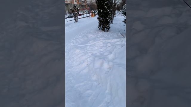 Готовь сани летом, а телегу зимой смотреть онлайн