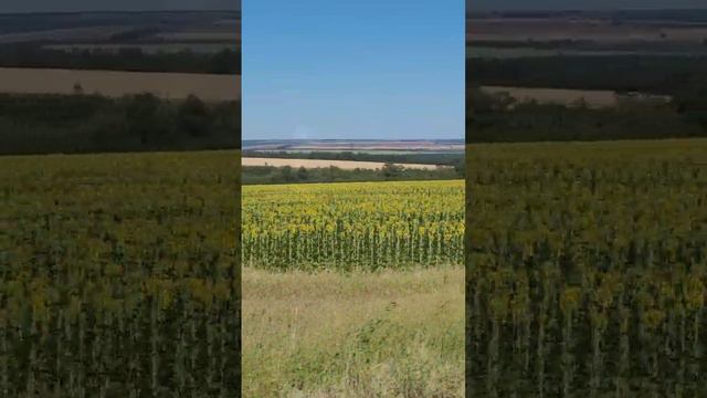 Анапа - Москва, вид из окна поезда