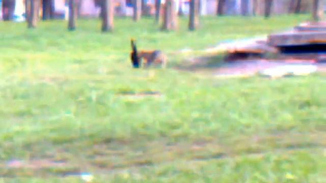 весна 2014год смотреть онлайн