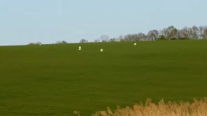 10 лучших самоделки для рыбалки