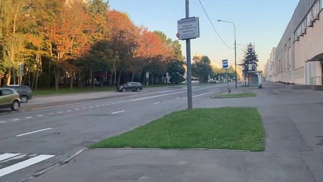 Прогулка по улице Генерала Белова, Орехово-Борисово Северное, г. Москва, 05.08.2023 смотреть онлайн