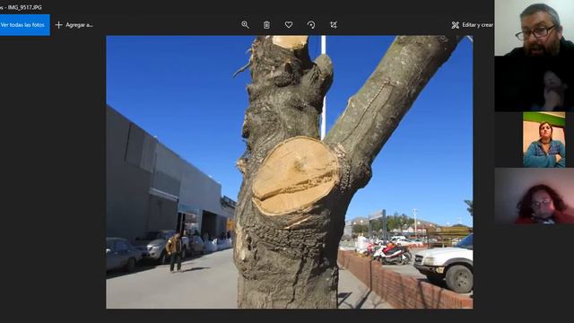 Curso de Poda - Clase 6 (Tercera Parte) смотреть онлайн