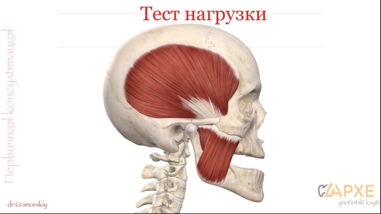 Тест нагрузки с листовым калибратором смотреть онлайн