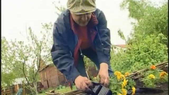 Экспресс-клумба на даче смотреть онлайн