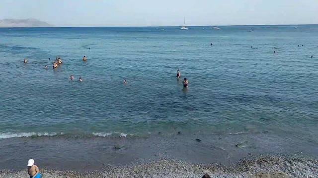 Новый свет, кафе Ассоль смотреть онлайн