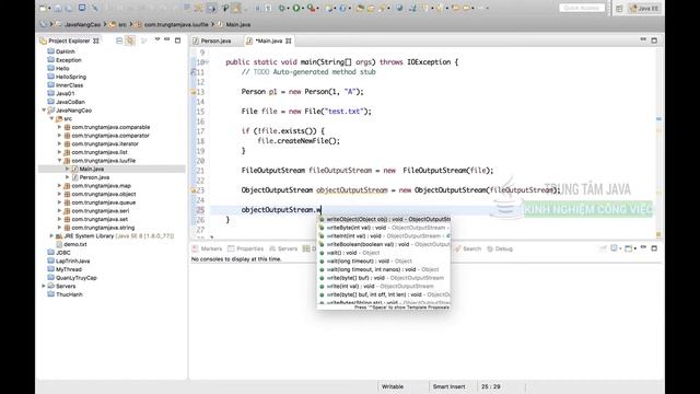 Java Cơ Bản - Lưu đối tượng vào File nhị phân (binary) trong Java смотреть онлайн