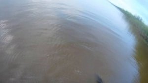 рыбалка сплавной сетью 3