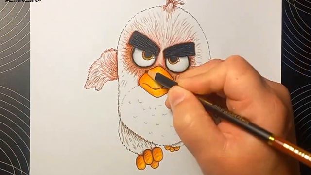 Drawing and Coloring Red | Angry Birds смотреть онлайн