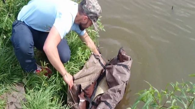 Поймал - отпусти! Усадьба Остров. Трофейная рыбалка. Саша смотреть онлайн