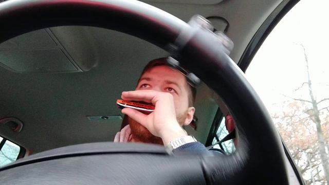 В лесу родилась елочка на губной гармошке смотреть онлайн