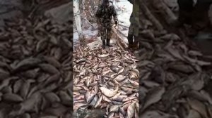 Весенняя рыбалка на Братском водохранилище