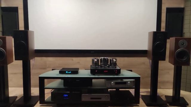 Dynaudio Contour 20 Vs Special 25