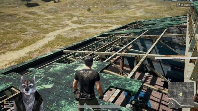 Волк и мясо!!!!!