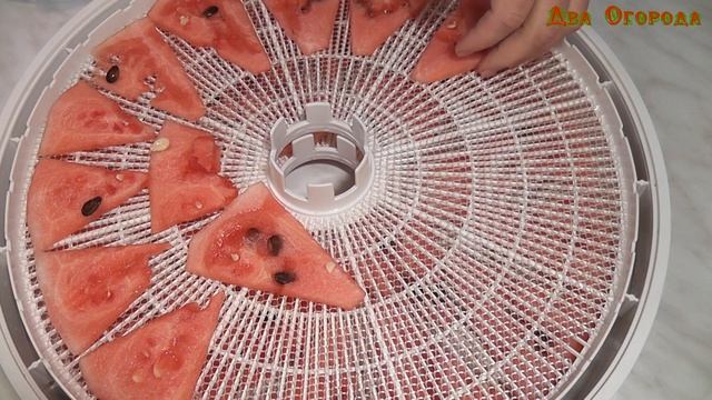Сушим на зиму арбуз смотреть онлайн