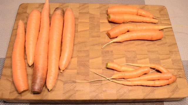Хранение моркови \\ В деревню! смотреть онлайн