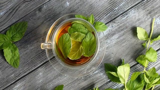 (3 Receitas Caseiras) Para Aliviar Coceira Do Cachorro