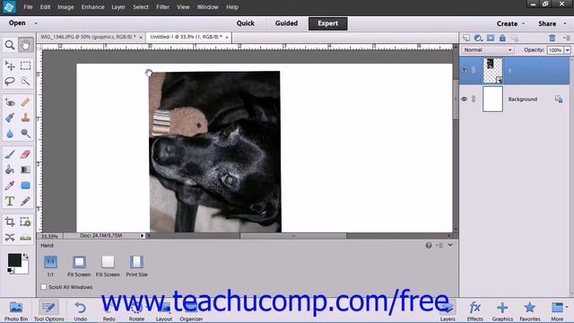 Photoshop Elements 12 Tutorial Displaying Drawing Guides Adobe Training Lesson 4.6 смотреть онлайн