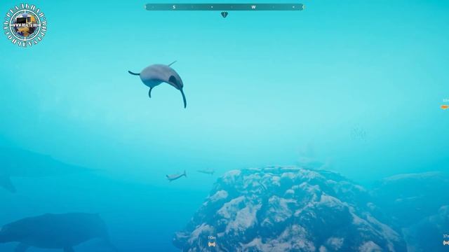 Обзор игры Beyond Blue | Голубая планета смотреть онлайн