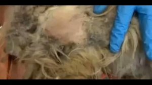 Почти 100 человек изо всех сил пытались ее усыновить… Только посмотрите на нее!