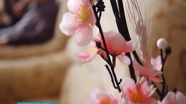 Евгений Подгорный: я сделал правильный выбор, оставшись в Новосибирске смотреть онлайн