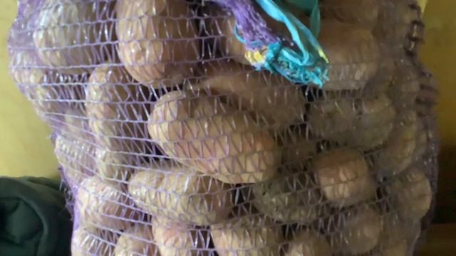 Работа работой а обед по расписанию.