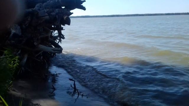 Озеро Горькое смотреть онлайн