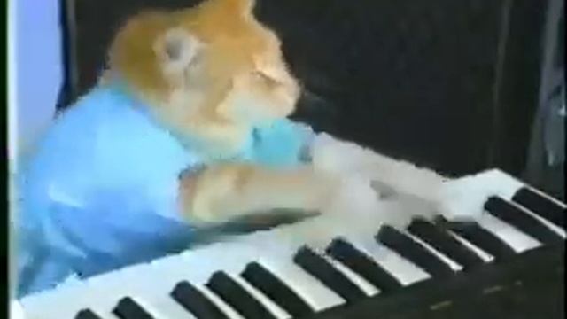 Кот Игорь Игоревич играет на пианино смотреть онлайн