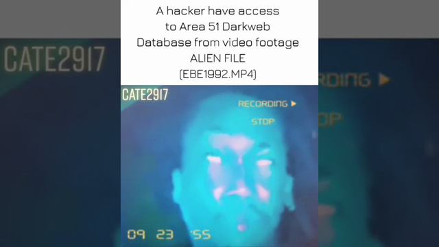 Another Dreamybullxxx meme compilation смотреть онлайн