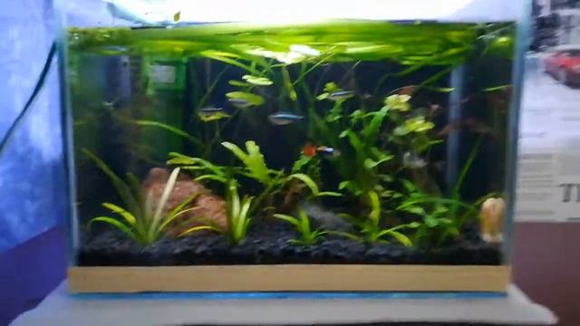 Аквариум 15 литров смотреть онлайн