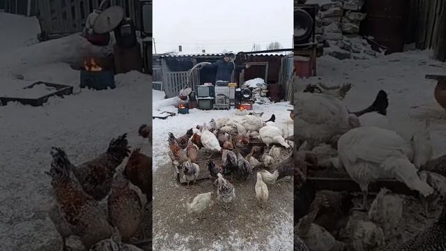 Слово пацана универсамовские на дискотеке🤣 смотреть онлайн