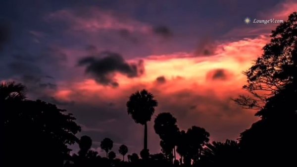 Agape - Nicholas Britell // 1 hour