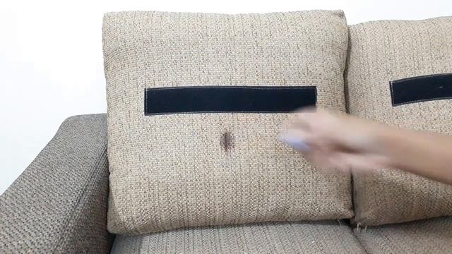How to remove permanent marker from sofa | Easy & effective method смотреть онлайн