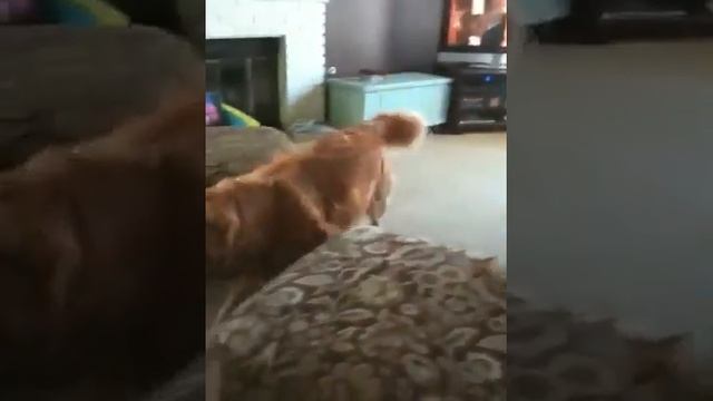 Go Git Her... смотреть онлайн