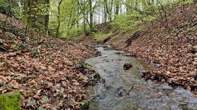 Приятный звук ручья и пение птиц для нервов, отдыха, сна - Звуки природы, чтобы расслабиться. смотреть онлайн