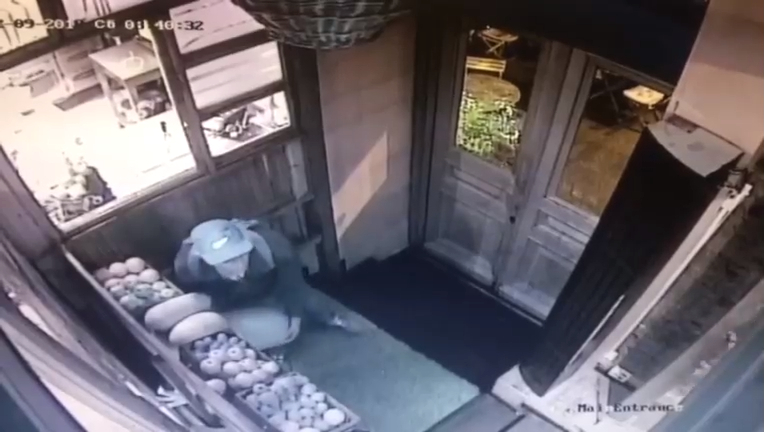 Попытался украсть дыню смотреть онлайн