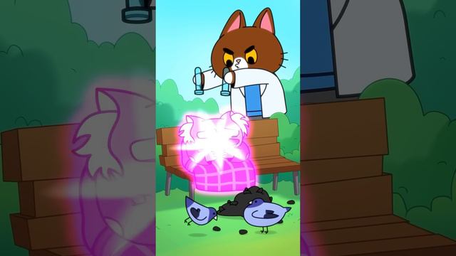 Булли больше на улицу не выпускаем? 🌥