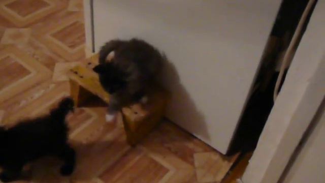 Лима+Мила играют на стульчике 17 10 16 год 0 01мин смотреть онлайн