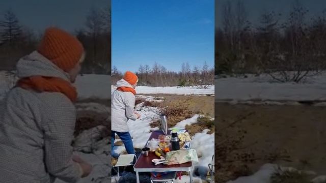Дикая лиса пришла к людям ? смотреть онлайн