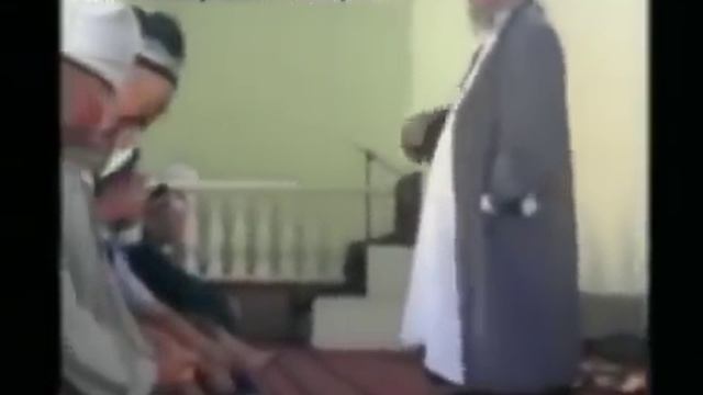 Мула зайтан мулои зинокор