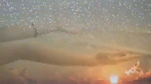 МУЗЫКАНТЫ КРАСНОДАРА Юлия Синеглазова (вокал)