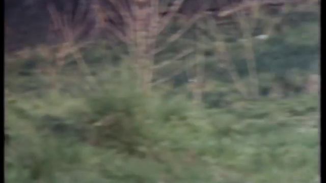 Monty Python - The Cycling Tour 1/3 (czech sub) смотреть онлайн