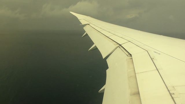 Montego Bay Landing - Landing at Montego Bay Airport - Jamaica (4K) смотреть онлайн